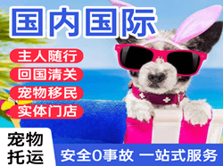 义乌航空托运国际宠物托运 【国